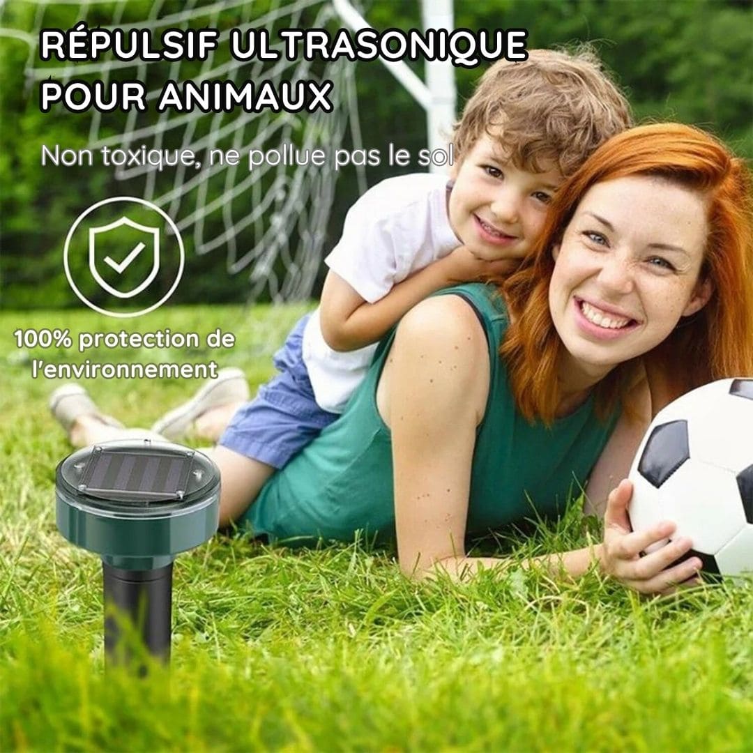 Appareil à Ultrasons Anti Taupes, Rats et serpent - Recharge Solaire