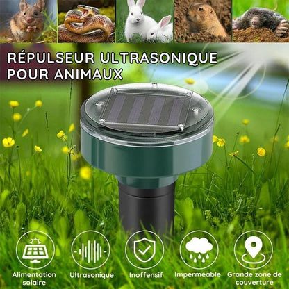Appareil à Ultrasons Anti Taupes, Rats et serpent - Recharge Solaire
