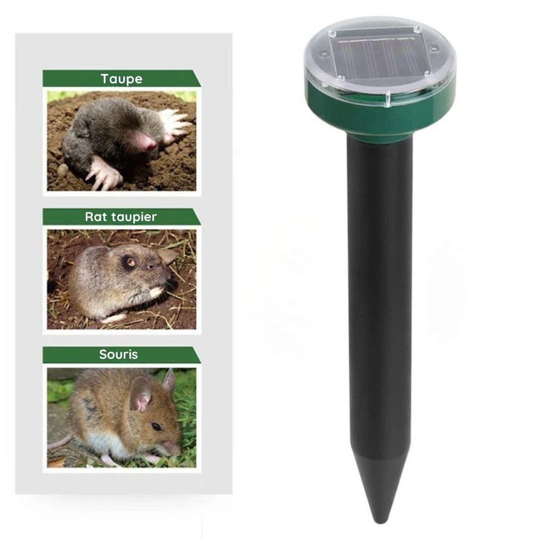Appareil à Ultrasons Anti Taupes, Rats et serpent - Recharge Solaire