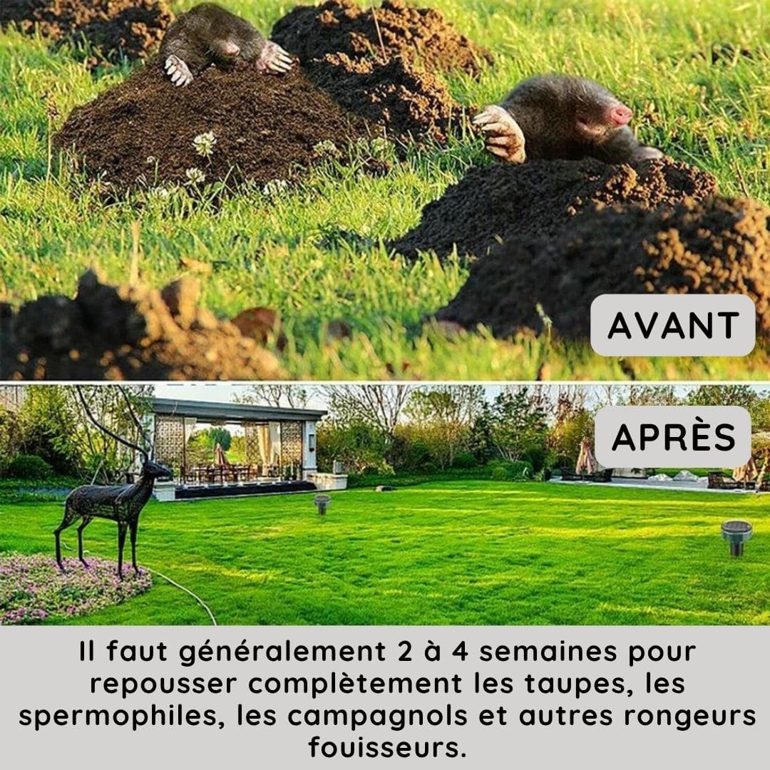 Appareil à Ultrasons Anti Taupes, Rats et serpent - Recharge Solaire